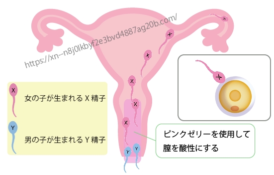 ピンクゼリー 使い方