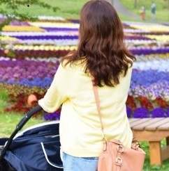 ピンクゼリー ブログ